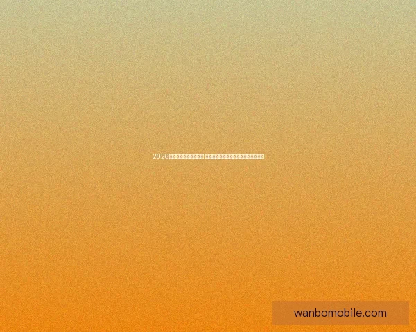 2026世界杯竞猜策略全攻略 提前掌握最佳投注技巧与热门球队分析