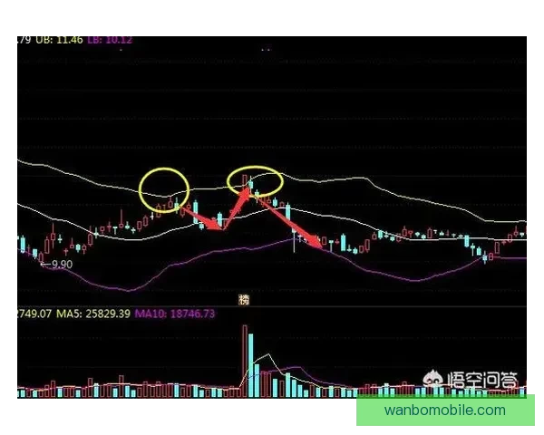 精准预测赢大奖 体育竞猜推荐助你轻松把握赛场动向