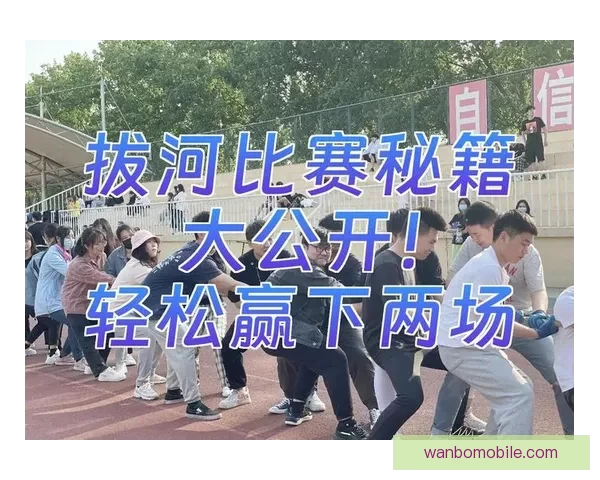 全新体育竞猜平台攻略助你轻松赢取赛事大奖技巧解析